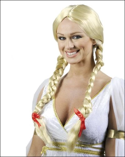 Indian Girl / Braided Girl By New Look Costume Wigs 4 Indian Girl / Braided Girl By New Look Costume Wigs