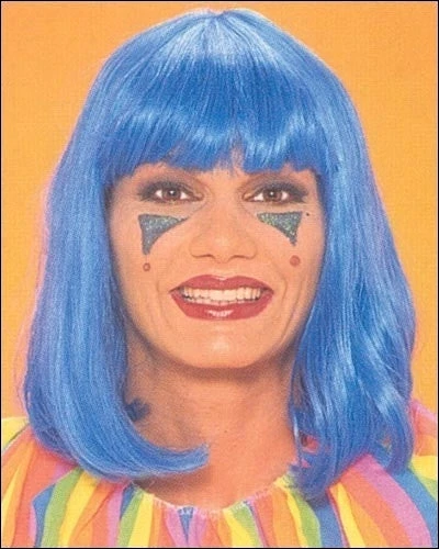 Franco Costume Wigs Peggy Sue Costume Wig By Franco 7 Franco Costume Wigs Peggy Sue Costume Wig By Franco