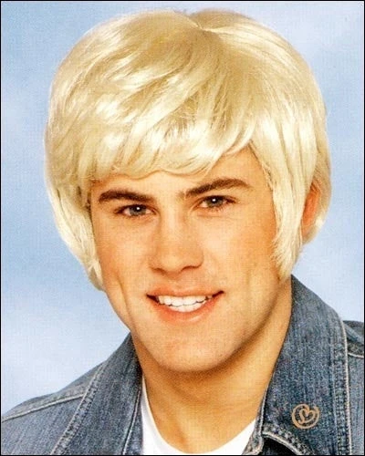 Franco Costume Wigs 70s Dude Costume Wig By Franco 3 Franco Costume Wigs 70s Dude Costume Wig By Franco