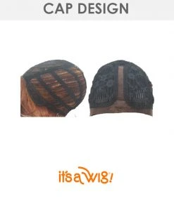 Swiss Lace Delaware | Lace Front & Lace Part Synthetic Wig By It's A Wig Wigs For Black Women
