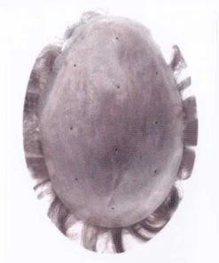 Conrad | Men's Hairpiece By Leading Man Toupee For Men